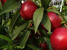 山西省客戶見證