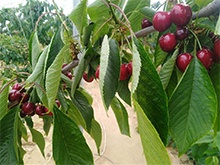 遼寧省客戶見證