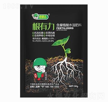 根有力（生根 養根 補根 壯根）-30g